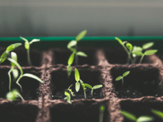 Where would you invest $1 million right now? Where-would-I-invest-1-mn