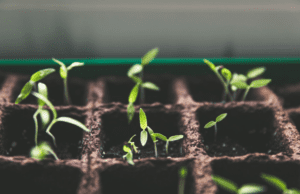 Where would you invest $1 million right now? Where-would-I-invest-1-mn